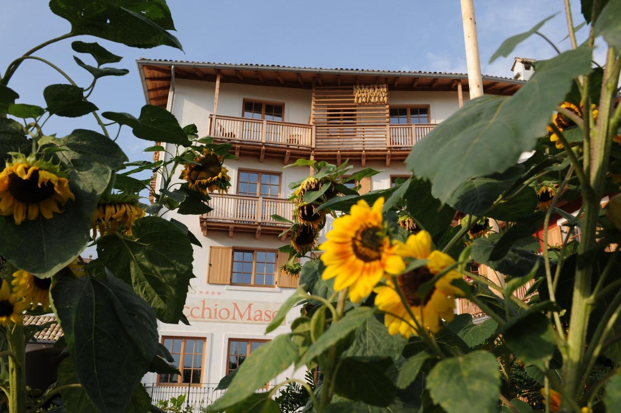 Hotel Relais Vecchio Maso Sopramonte 外观 照片